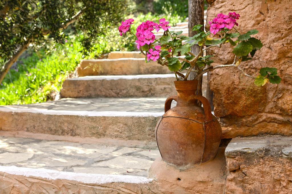 Aspros Potamos Aparthotel Makry Gialos  Exterior photo